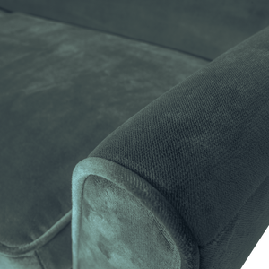 Detail___Close_up___1