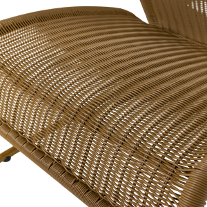 Detail___Close_up___1