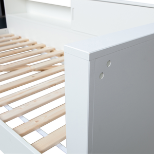 Detail___Close_up___1