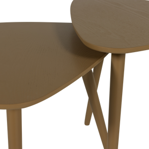 Detail___Close_up___1