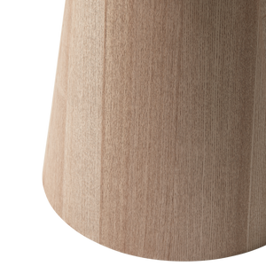 Detail___Close_up___2