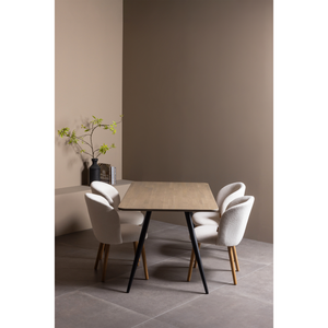 Lifestyle___Group___1