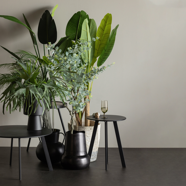 Lifestyle___Group___1