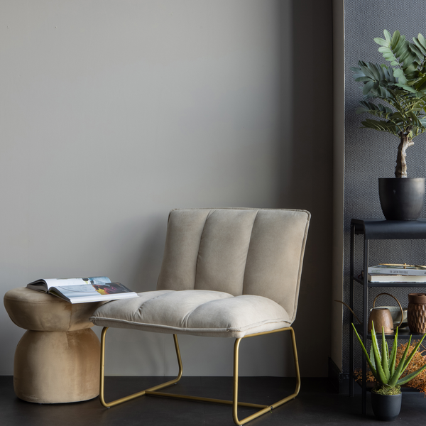 Lifestyle___Group___1