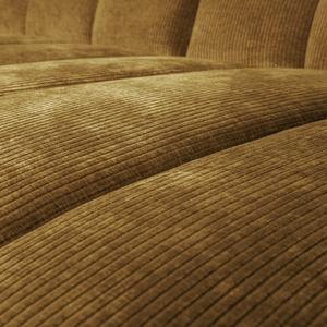 Detail___Close_up___1
