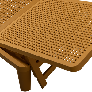 Detail___Close_up___1