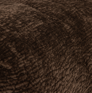 Detail___Close_up___1