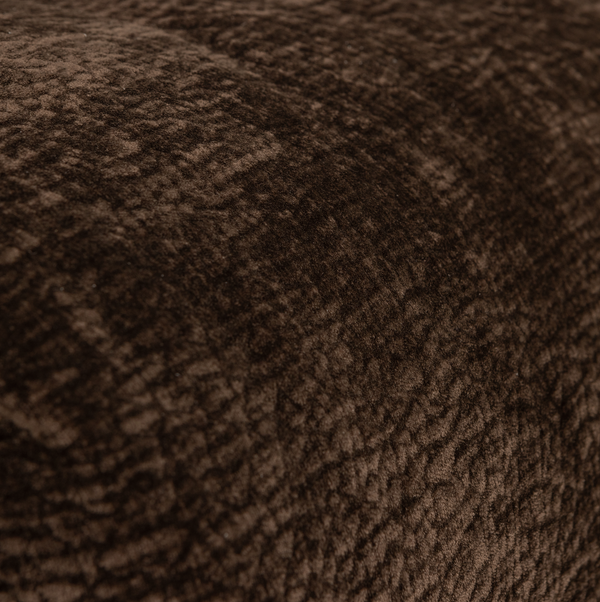 Detail___Close_up___1