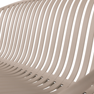 Detail___Close_up___1