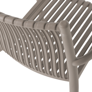 Detail___Close_up___1