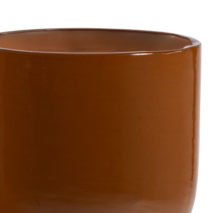 Detail___Close_up___2