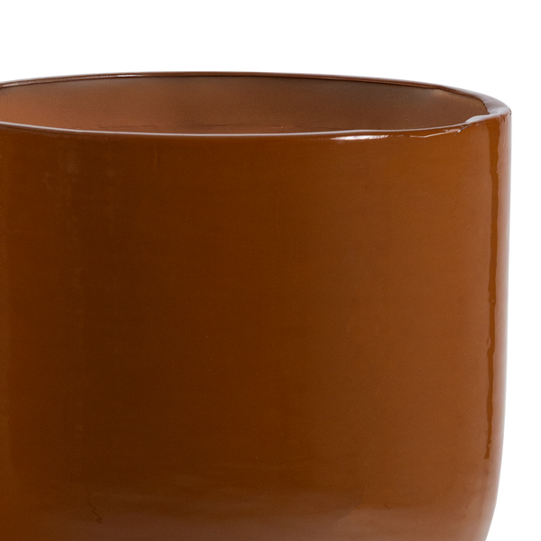 Detail___Close_up___2