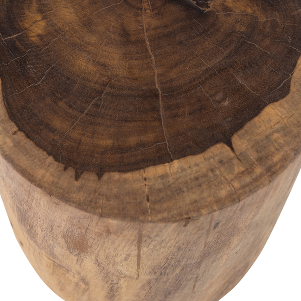 Detail___Close_up___2