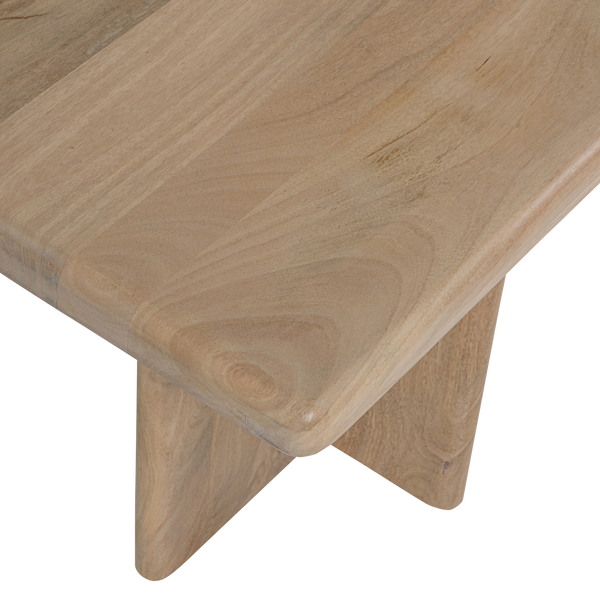 Detail___Close_up___2