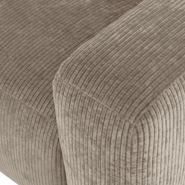 Detail___Close_up___1