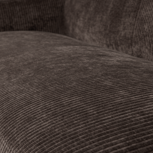 Detail___Close_up___1