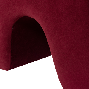Detail___Close_up___2