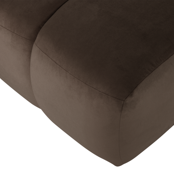 Detail___Close_up___2