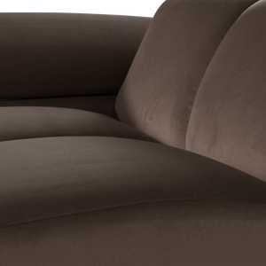 Detail___Close_up___1