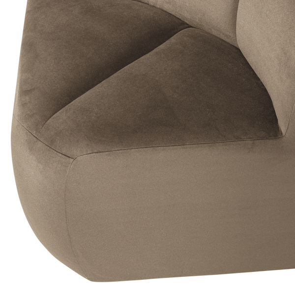 Detail___Close_up___1