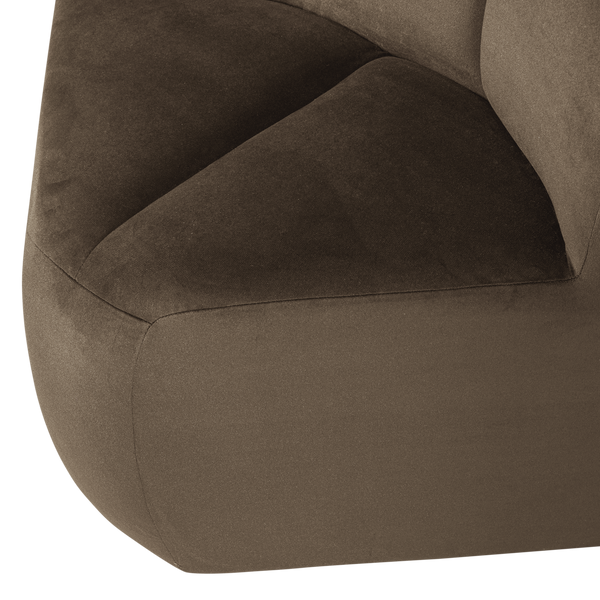 Detail___Close_up___1