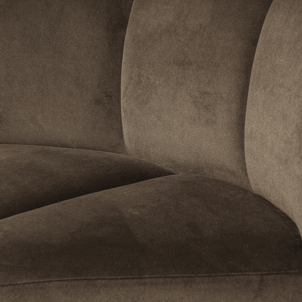 Detail___Close_up___2
