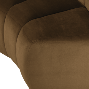 Detail___Close_up___2