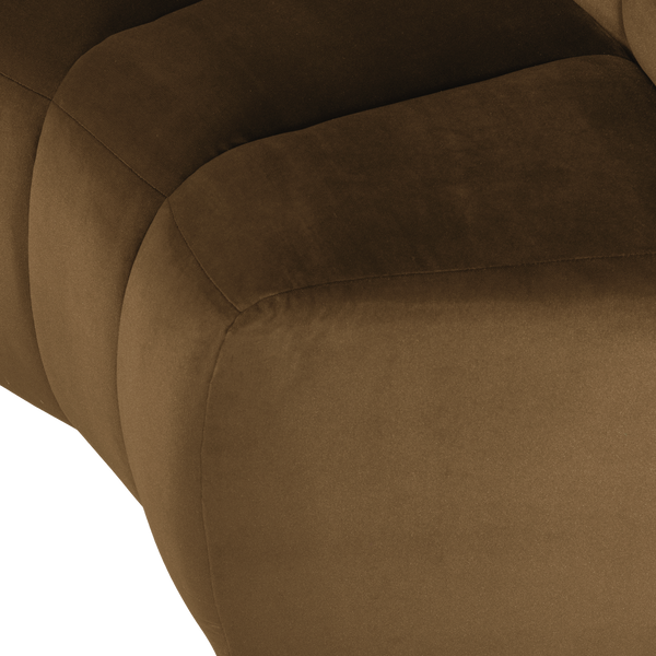 Detail___Close_up___2