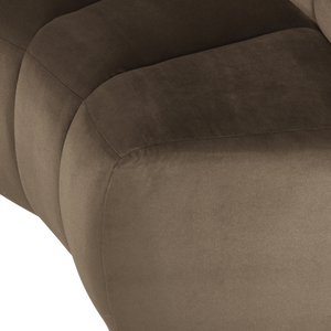 Detail___Close_up___2