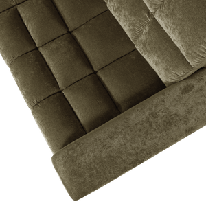 Detail___Close_up___1