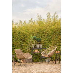 Lifestyle___Group___2