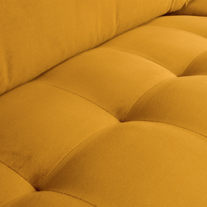 Detail___Close_up___1