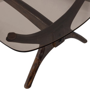 Detail___Close_up___1