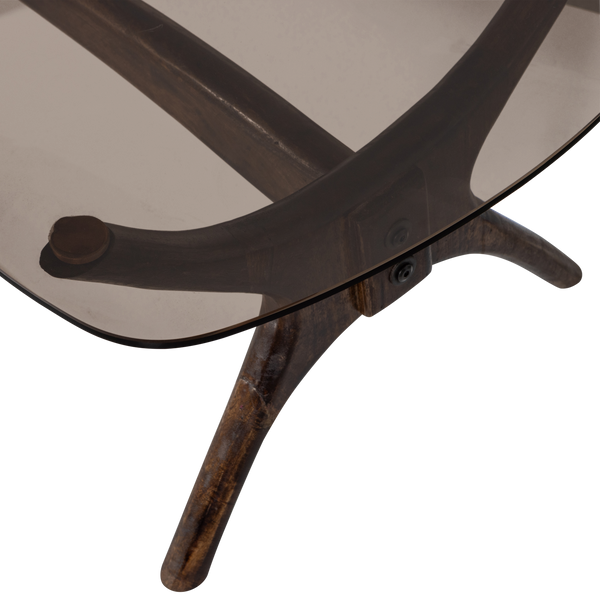 Detail___Close_up___1