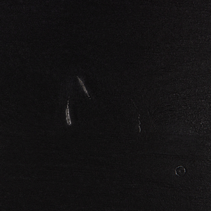 Detail | Fabric | 1