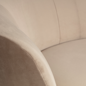 Detail | Close up | 1