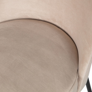 Detail | Close up | 2