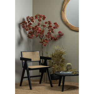 Lifestyle | Group | 2